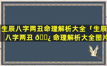 生辰八字两丑命理解析大全「生辰八字两丑 🌿 命理解析大全图片」